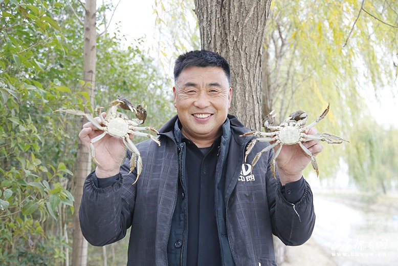 濱海港經(jīng)濟區(qū)雙裕村開展稻蟹復(fù)合種養(yǎng)
